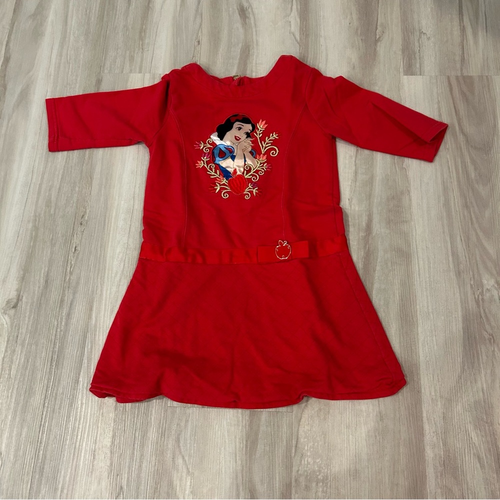 Disney Red Dress with Embroidered Princess